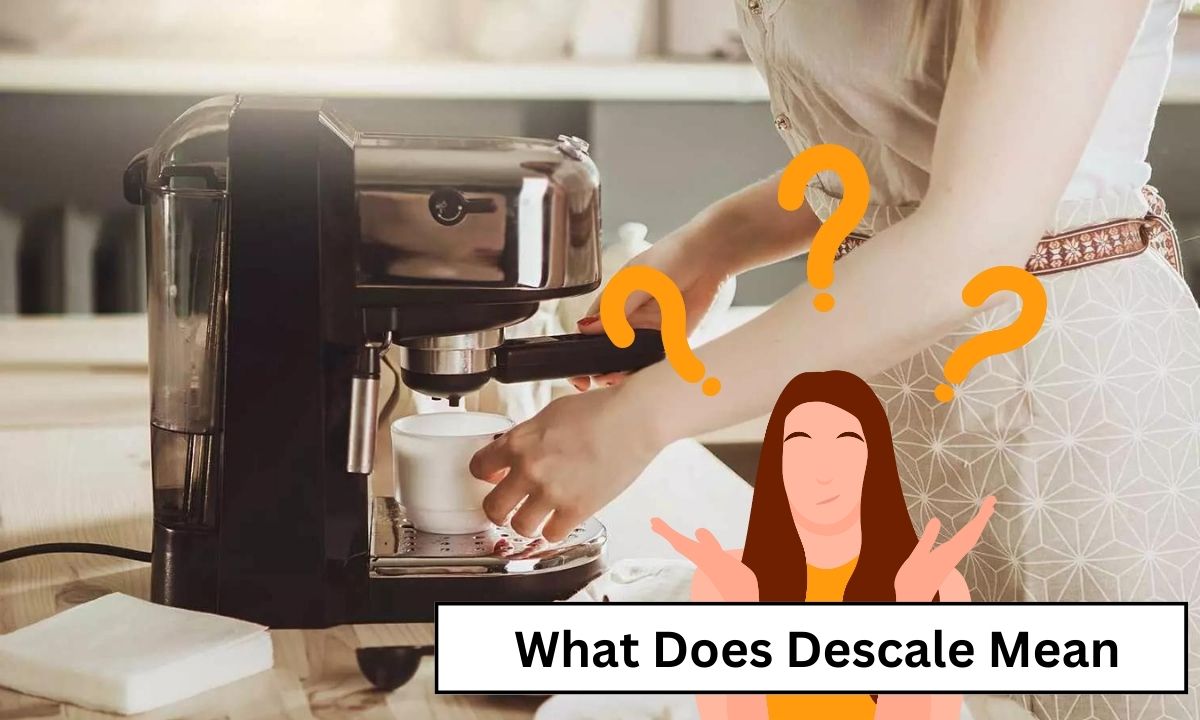 What Does Descale Mean