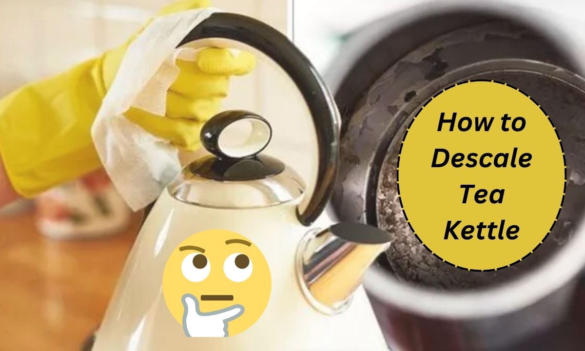 How To Descale Tea Kettle Coffee Tipper